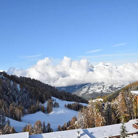 Apartment L'everest - 2 Pieces 5 Pers - L'everest - 071ev - Plagne Centre Mae-5814 *